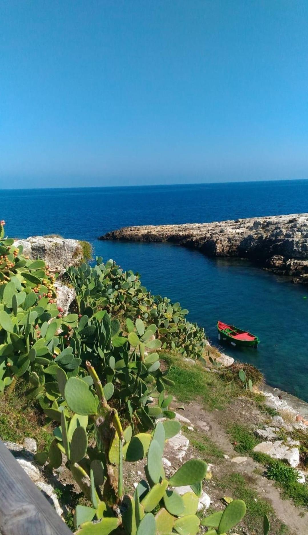 Sea Wind Stanza Con Garage E Ascensore Polignano a Mare Eksteriør billede